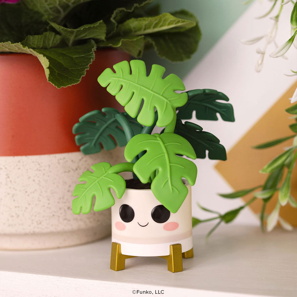 Pop! Plants Monstera